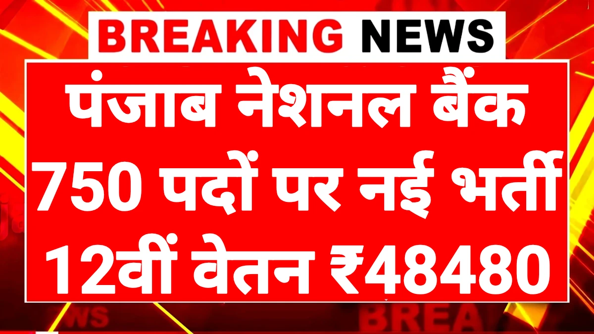 PNB Bank Vacancy 2025